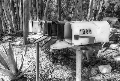 Bots de Telegram en Avilés