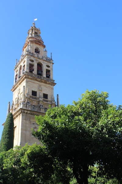 Top 5 Consultoría Tecnológica en Calahorra