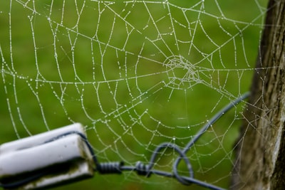Preparativos para integrar CRM web y AI