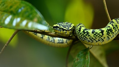 Por qué la mayoría de los errores de IA en Python son errores de datos disfrazados