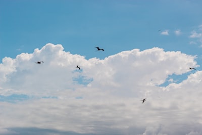 Servicios de migración a la nube de Azure para socios comerciales