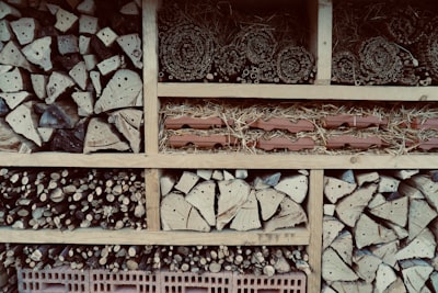 Textures Self-Organized