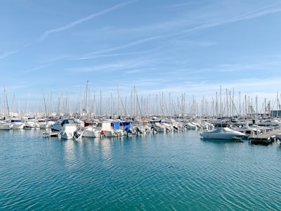 Incorporación de IA en Alicante