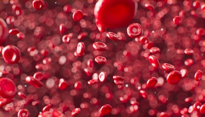 Simulaciones y microfluídica para clasificar estomatocitos