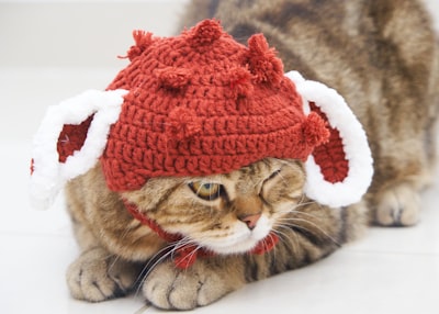 Descubre las novedades en Red Hat OpenShift Virtualization 4.21