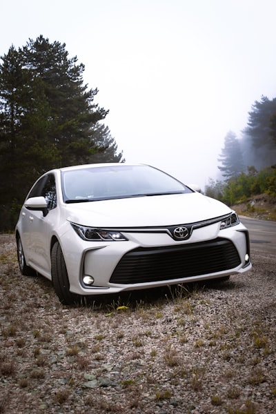 Coste de propiedad a 10 años: ¿EV o Toyota Corolla?