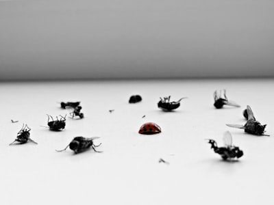 Top 50 Software de Control de Plagas en Málaga