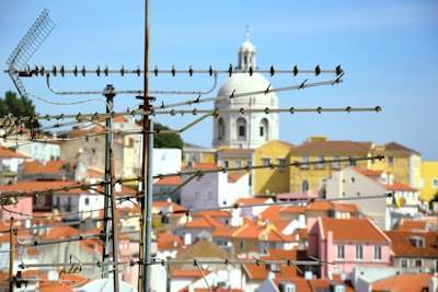 Principales Expertos en Servicios Telefónicos de IA en Vitoria