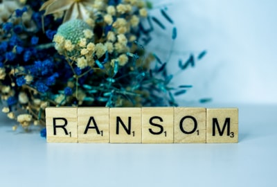 La mejor manera de encontrar casos de negocio de transformación digital en Alicante