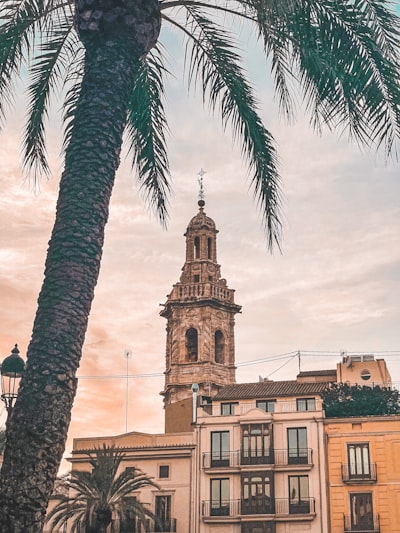 Los 50 mejores socios de implementación de software en Valencia