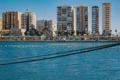 Principales expertos en flujos de trabajo en n8n en Alicante