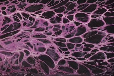 Improved Bone Regeneration with Controlled Porosity Biphasic Hydroxyapatite Scaffolds and Ligand Functionalization