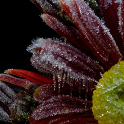 FedFrozen: Optimización Federada en Dos Fases Congelando el Kernel de Atención