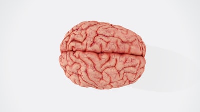 Alineación de actividad neural entre sujetos sin estímulos compartidos