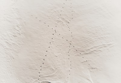 Planificación de trayectorias con mapa esquelético de muestreo único