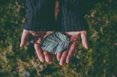 El Surgimiento de Givefront