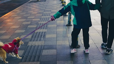 Mejores ofertas de tapices para caminar: ahorra $150 y más
