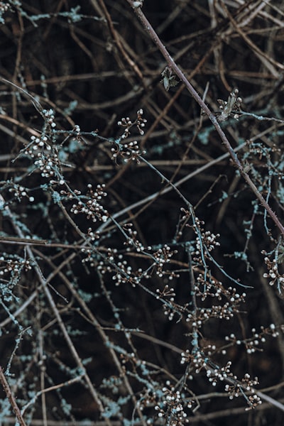 ¿Impacta el cambio gradual del mundo en la plasticidad de las redes neuronales?