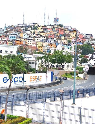 Top 5 Expertos en aplicaciones en El Ejido