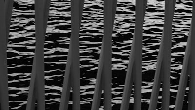 Mejora del análisis de la velocidad de conducción nerviosa con wavelets y AI