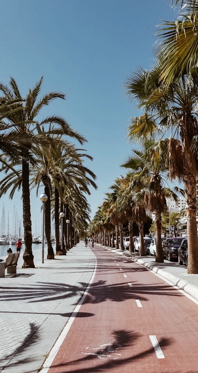 IA profesional para optimización de rutas en Palma
