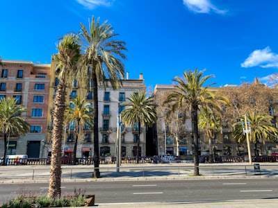 Top 5 Empresas de apps móviles en Murcia