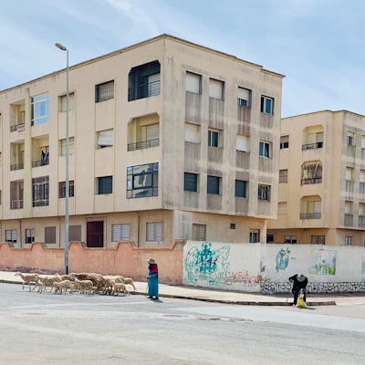 100 expertos en renovaciones de alquiler para inquilinos en Las Palmas 2026
