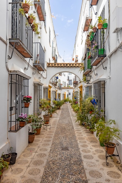 Guía completa de proveedores RAG en Córdoba