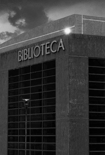 Servicios de Inteligencia Empresarial en Ribeira