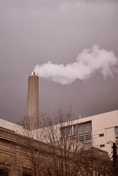 La voracidad de las grandes tecnológicas por créditos de carbono provoca escasez.