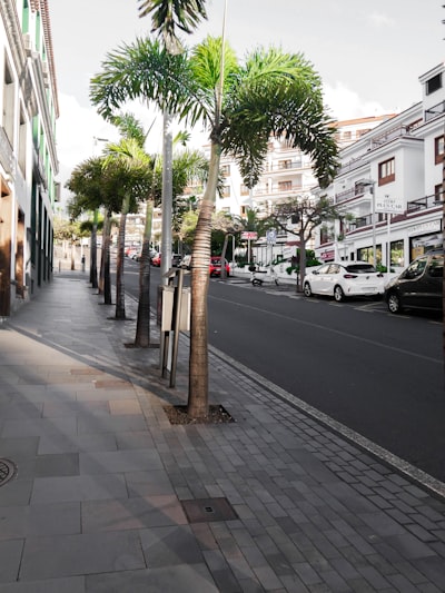 Desarrollo de chatbot para atención al cliente en Santa Cruz de Tenerife