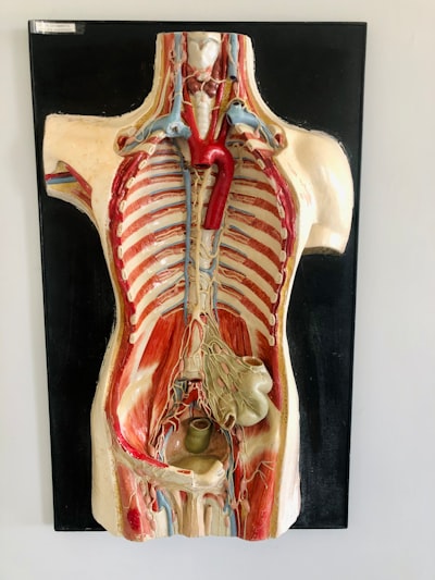 Generación de Escenas 3D Médicas con Deep Learning