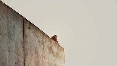 Expertos en Desarrollo de Aplicaciones a Medida en Alcázar de San Juan