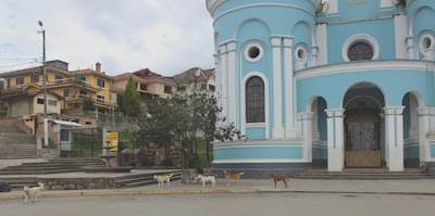 Top 10 Expertos en IA en La Orotava