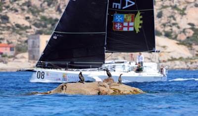 Los mejores expertos en n8n en Roquetas de Mar