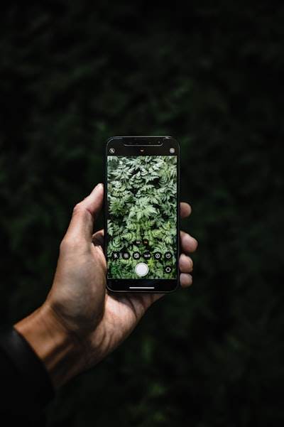 Cómo favorece la app móvil a las prácticas comerciales sostenibles