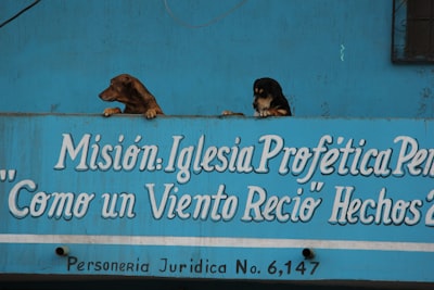 MIRA: Punto de referencia bilingüe para auditoría de respuestas médicas
