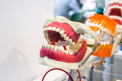 Top 15 Expertos en IA para consultas dentales en Bilbao