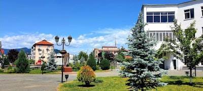 Mejores empresas de aplicaciones personalizadas en Torrevieja
