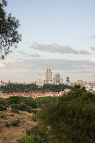 Top 20 empresas de vibe coding para tu negocio en Madrid