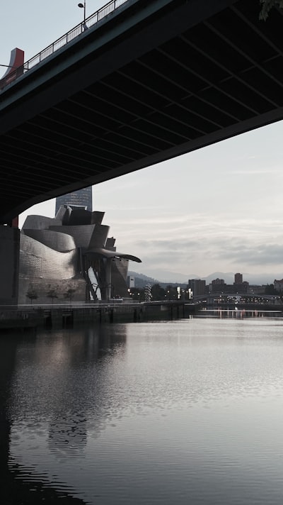 La mejor integración de datos vectoriales en Bilbao