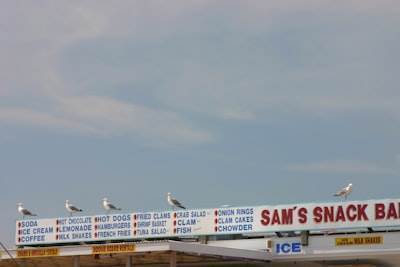 Mejores empresas de servicios de n8n en San Vicente del Raspeig