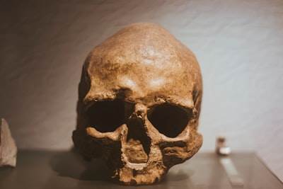 ¿Qué nivel de inteligencia tenían los neandertales?