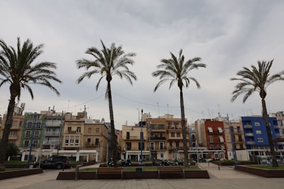 Las mejores consultoras de aplicaciones en Tarragona.
