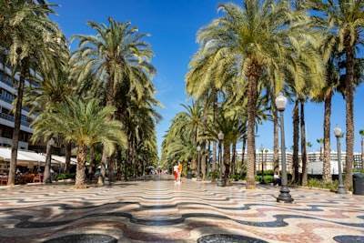 Consultoría de software en Alicante