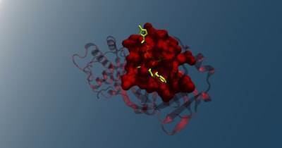 Desbloqueando secretos enzimáticos: Análisis de mutaciones potenciado por IA