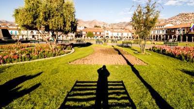 Mejores empresas de programación en Los Alcázares