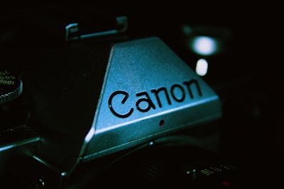 Reseña de la Canon EOS R6 III: Potente en video y excelente en fotografía