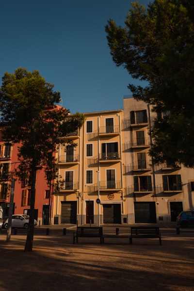 Desarrollo de Apps para ChatGPT en Palma