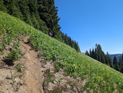 Lote vs Mini-Lote vs Descenso de Gradiente Estocástico: Tres excursionistas, tres estrategias, una montaña